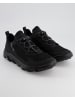 Ecco Sneaker low in Schwarz