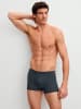 Calida Boxer Brief in schwarz