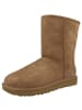 UGG Boots Classic Short II in braun