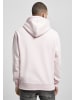  Cayler & Sons Sweat & Fleece - Hoodies in pale pink