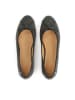 Kazar Ballerinas in Grau