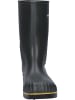 Dunlop Stiefel Acifort Heavy Duty calf in grün