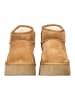 Steve Madden Stiefelette in Tan