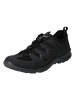 Ecco Lowtop-Sneaker Terracruise Lt M in black