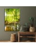 OnlyWow Acrylglasbild Waldlicht