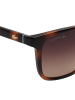 Lacoste Sonnenbrille in Brown