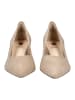 Högl Pumps in Taupe