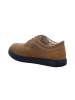 Finn Comfort Sneaker Low in braun