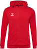 Hummel Reißverschluss Kapuzenpullover Hmlauthentic Herren in TRUE RED