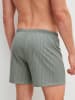 Calida Boxershorts in tea green