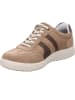 Jomos Schnürschuh in taupe