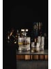 Eisch 2er Set Whiskybecher Glen 330 ml in platin