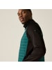 Regatta Clumber Hybridjacke in Grün