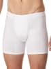 Schiesser Trunk Premium Cotton in Weiß