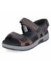 Josef Seibel Sandalette in brown