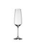 Villeroy & Boch 4er Set Sektgläser Voice Basic 283 ml in transparent