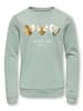 KIDS ONLY Sweatshirt KOGMARY LIFE L/S O-NECK BOX SWT in green milieu