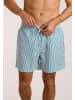 wavebreaker Shorts in grün