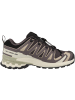 SALOMON Laufschuhe XA PRO 3D V9 GTX in grau