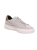 Legero Sneakers Low MONDO in Aluminio