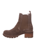 Tamaris Stiefelette in braun