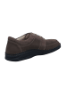 Finn Comfort Schnürschuh in braun