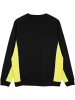 Santa Cruz Pullover "Strip Front Racer Crew" in Grün