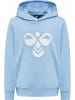 Hummel Kinder Hoodie in Blau