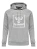 Hummel Hummel Kapuzenpullover Hmlisam Herren Atmungsaktiv in GREY MELANGE