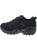 LOWA Sirkos Evo GTX Lo Wanderschuh Blau