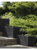 Beliani Outdoor Blumentopf MYRA in Schwarz - (W) 50 x (H) 24 x (L) 23 cm