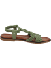 palado Riemchensandalen in Grün