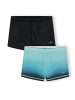 Minoti 2-er Pack Badeshorts 29SWIM262 in schwarz