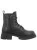 Apple of Eden Stiefeletten in schwarz