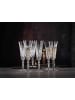 Nachtmann 6er Set Sektgläser Palais 140 ml transparent in transparent
