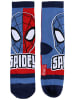 Cerda 4er - Pack Kindersocken Spider-Man Geschenkset in Spardose  in Bunt