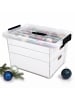 relaxdays Weihnachtskugel Aufbewahrungsbox in Transparent - (B)51 x (H)24,5 x (T)38,5 cm