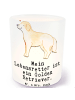 Mr. & Mrs. Panda Teelichthalter Golden Retriever Lebensretter mi... in Transparent