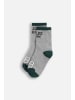 Coccodrillo Socken in grau