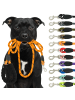 Reichstadt RS Pets Hundeleine Nylon in Orange