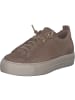 Paul Green Sneakers Low in NUT