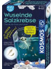 Kosmos Spiel - Wuselnde Salzkrebse (Experimentierkasten)