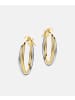 Vanlere Creolen aus 375 Gelbgold