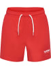 Hummel Verstellbare Taille Board Kurze Hose Hmljr Reg Jungen in HIBISCUS