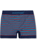 normani 6 Stück Mikrofaser-Boxershorts für Herren aus Nylon in Blau/Pink