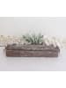 MeinVIPShop Holz Kiste Pflanzkiste  39cm