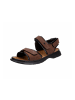 Josef Seibel Komfort Sandalen für Herren in braun in braun