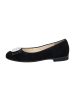 ara Elegante Ballerinas in Schwarz