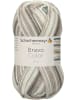 Schachenmayr since 1822 Handstrickgarne Bravo Color, 50g in Nebel