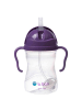 B. Box Trinkflasche mit Strohhalm 240ml weintrauben in Violett